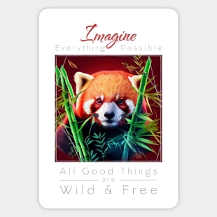 Red Panda Nature Outdoor Imagine Wild Free Sticker